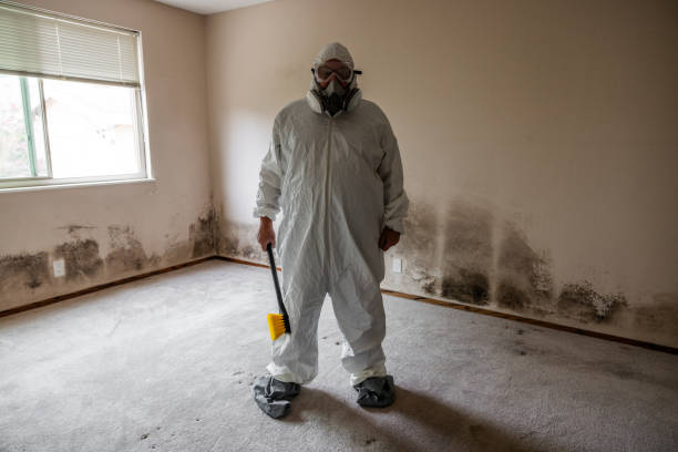 Best Mold Prevention Services  in Byron, CA
